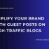 Supercharge Traffic with Niche-Relevant Guest Post Campaigns