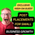 Exclusive High-DA Guest Post Placements for Small Business Growth